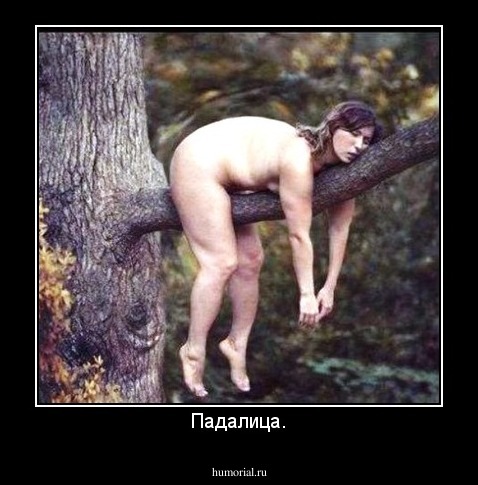 Падалица.