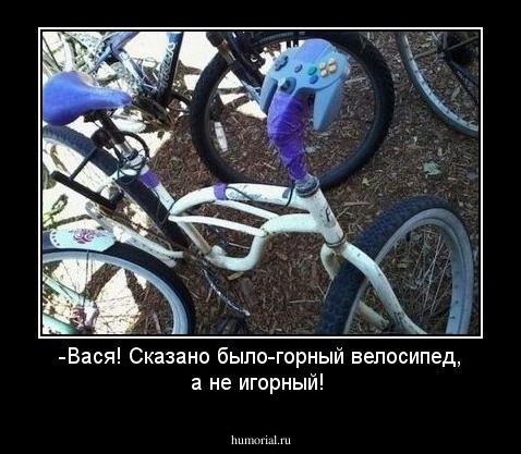 -Вася! Сказано было-горный велосипед, а не игорный!
