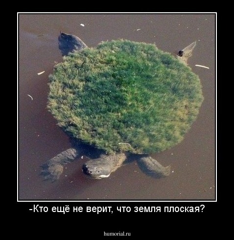 -Кто ещё не верит, что земля плоская?