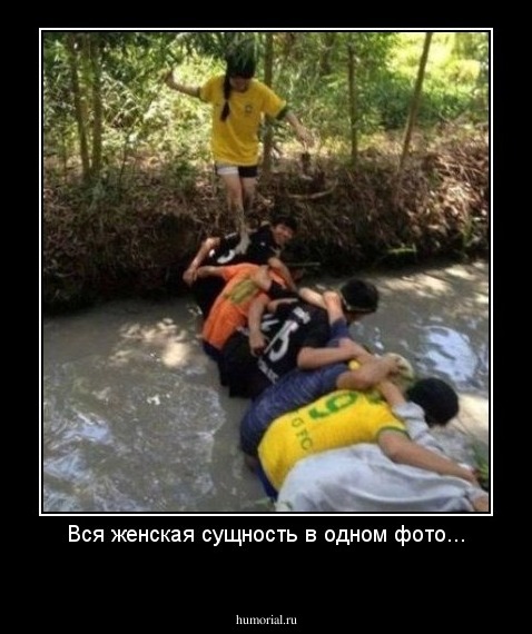 Вся женская сущность в одном фото...
