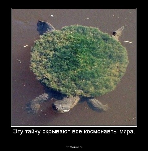 Эту тайну скрывают все космонавты мира.