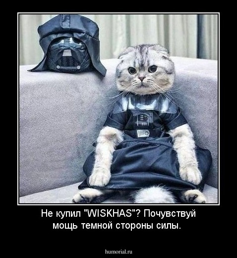 Не  купил   "WISKHAS"? Почувствуй мощь темной стороны силы.