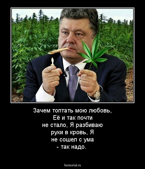 Зачем топтать мою любовь,
Её и так почти не стало,
Я разбиваю руки в кровь,
Я не сошел с ума - так надо.