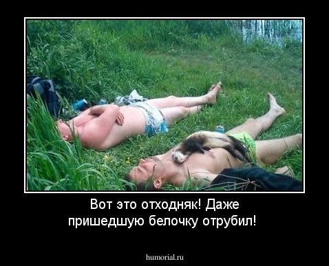 Вот это отходняк! Даже пришедшую белочку отрубил!