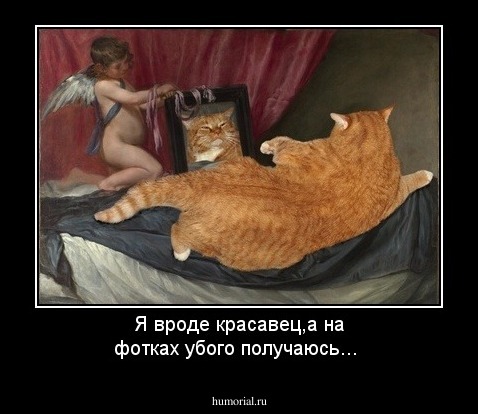 Я вроде красавец,а на фотках убого получаюсь...