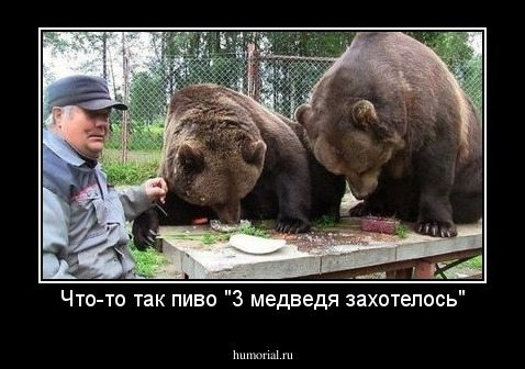 Что-то так пиво "3 медведя захотелось"