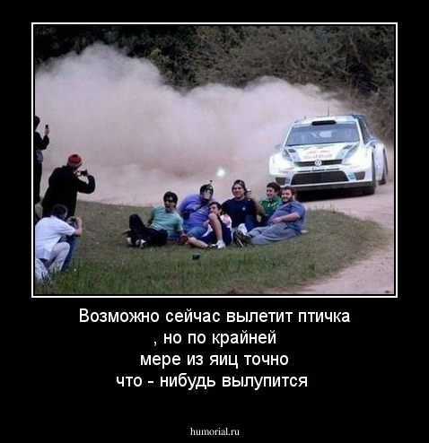 Возможно сейчас вылетит птичка , но по крайней мере из яиц точно что - нибудь вылупится 