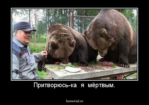 Притворюсь-ка  я  мёртвым.