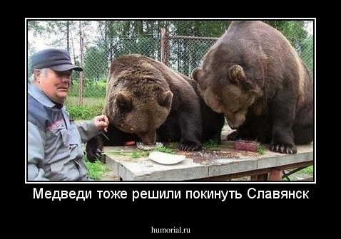 Медведи тоже решили покинуть Славянск