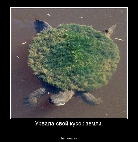 Урвала свой кусок земли.