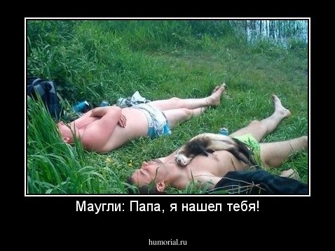 Маугли: Папа, я нашел тебя!