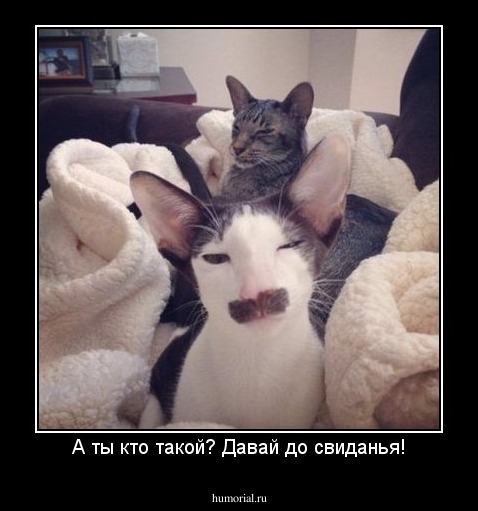 А ты кто такой? Давай до свиданья!