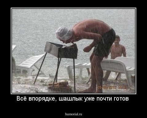 Всё впорядке, шашлык уже почти готов 