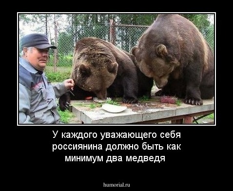 У каждого уважающего себя россиянина должно быть как минимум два медведя
