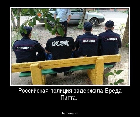 Российская полиция задержала Бреда Питта.
