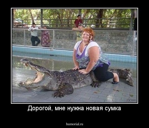 Дорогой, мне нужна новая сумка