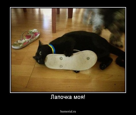 Лапочка моя!