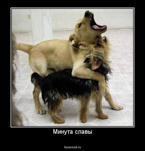 Минута славы