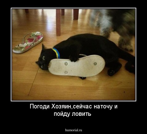 Погоди Хозяин,сейчас наточу и пойду ловить