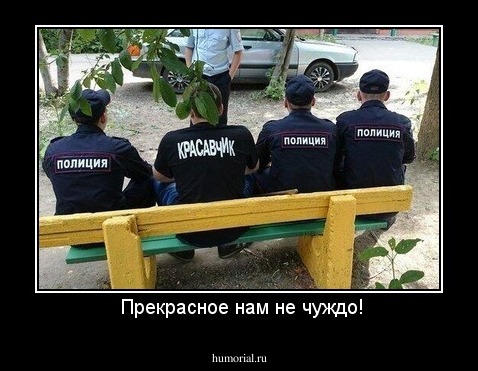  Прекрасное нам не чуждо!