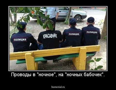 Проводы в "ночное", на "ночных бабочек".