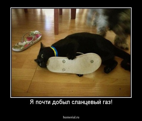 Я почти добыл сланцевый газ!