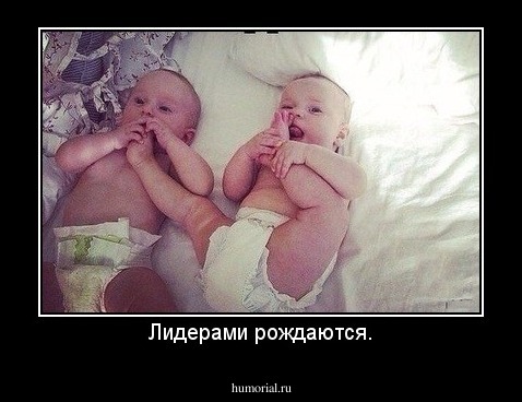 Лидерами рождаются.