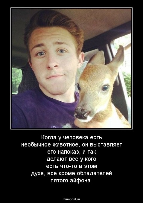 Когда у человека есть необычное животное, он выставляет его напоказ, и так делают все у кого есть что-то в этом духе, все кроме обладателей пятого айфона