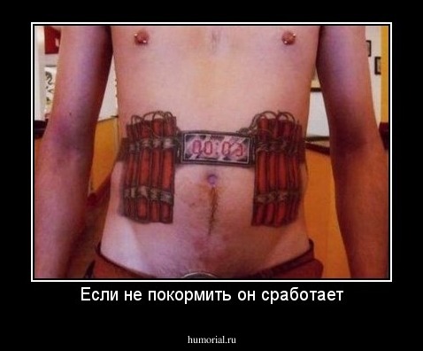 Если не покормить он сработает