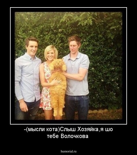 -(мысли кота)Слыш Хозяйка,я шо тебе Волочкова