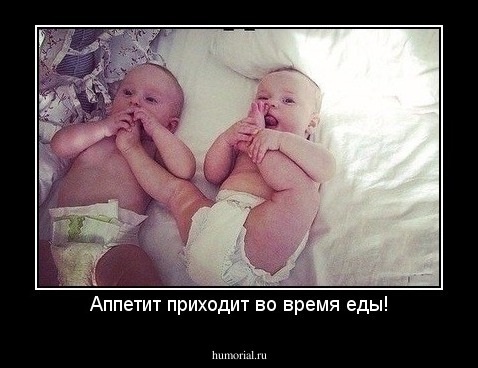 Аппетит приходит во время еды!
