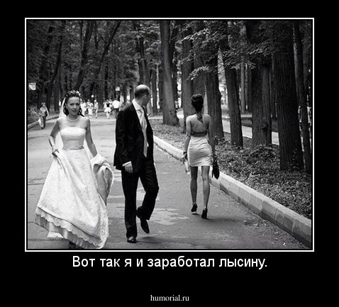 Вот так я и заработал лысину.