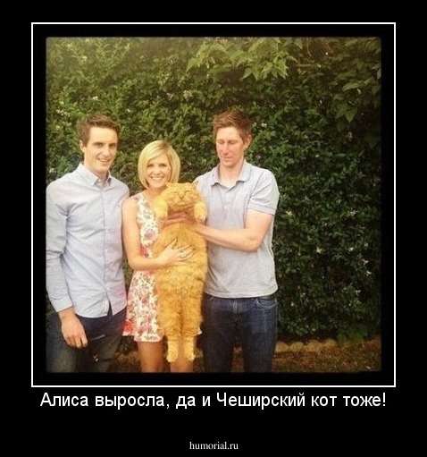 Алиса выросла, да и Чеширский кот тоже!