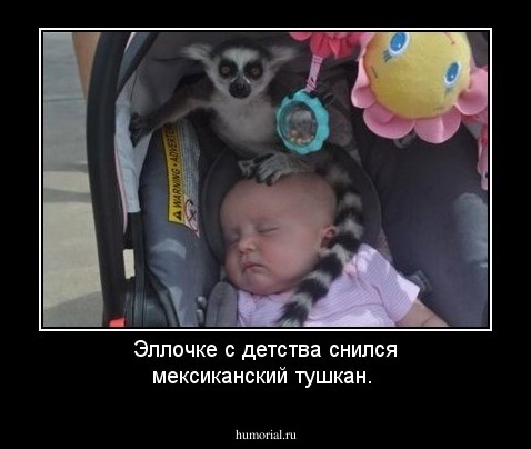 Эллочке с детства снился мексиканский тушкан.