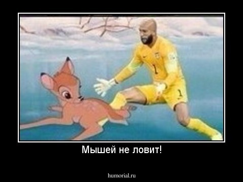 Мышей не ловит!