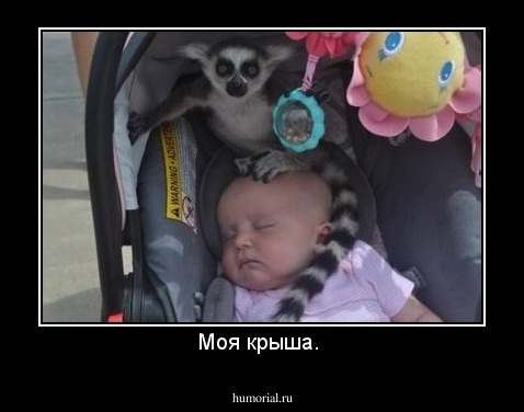 Моя крыша. 