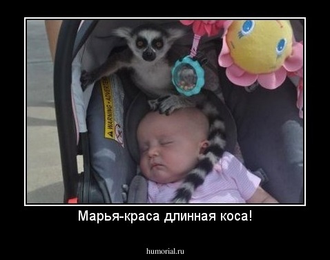 Марья-краса длинная коса!