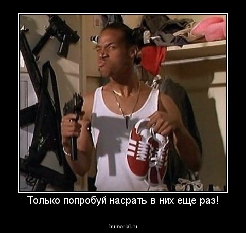 Только попробуй насрать в них еще раз!
