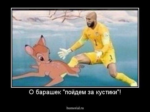 О барашек "пойдем за кустики"!