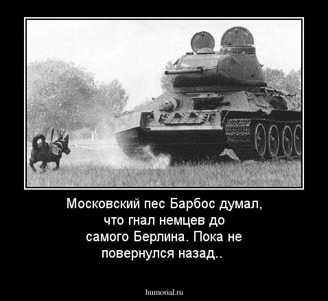 Московский пес Барбос думал, что гнал немцев до самого Берлина. Пока не повернулся назад..