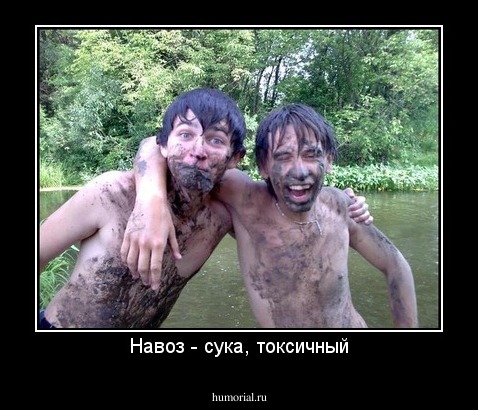 Навоз - сука, токсичный