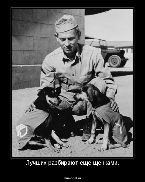 Лучших разбирают еще щенками.