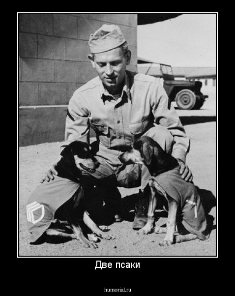 Две псаки