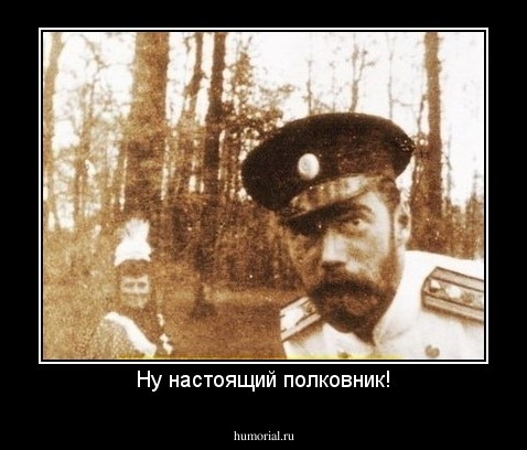 Ну настоящий полковник!
