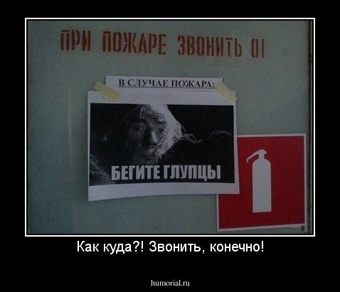 Как куда?! Звонить, конечно!