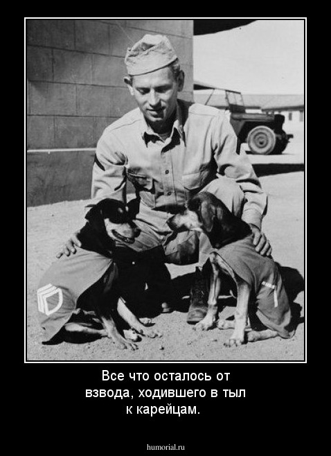 Все что осталось от взвода, ходившего в тыл к карейцам.
