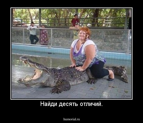 Найди десять отличий.