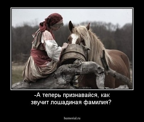 -А теперь признавайся, как звучит лошадиная фамилия?