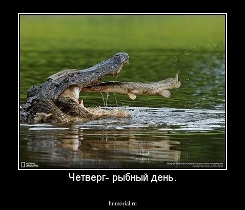 Четверг- рыбный день.