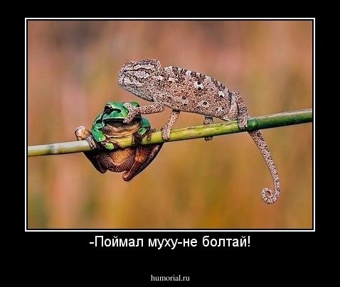 -Поймал муху-не болтай!